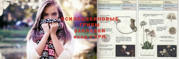 метадон Михайлов