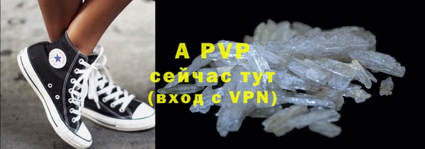 гидра Михайловск