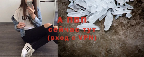 тгк Апатиты