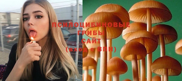 бошки Михайловка