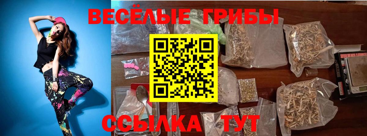 Воткинск  Псилоцибиновые грибы Cubensis  Вход с VPN  цены   Галлюциногенные грибы прущие грибы 
